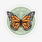 You Are What You Manifest Sticker, a green sticker with a monarch butterfly in the middle with the words 