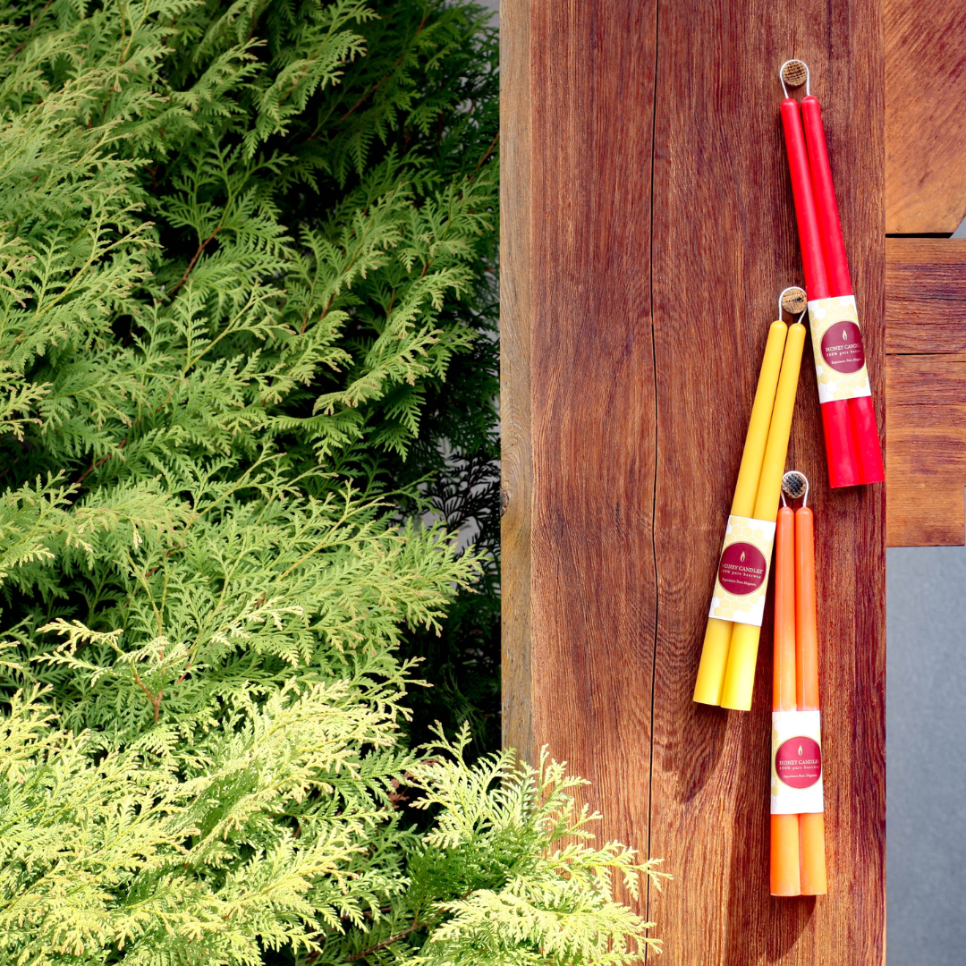 Red Beeswax 12" Tapers (2-pack)
