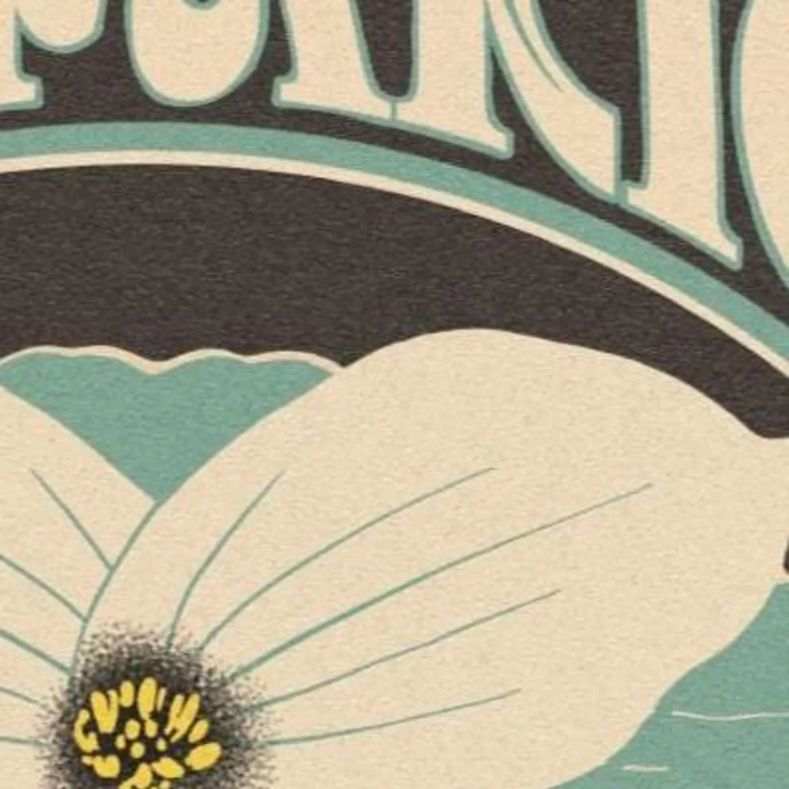 Ontario Trillium Art Print