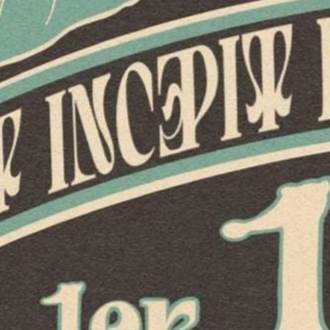 Ontario Trillium Art Print