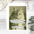 A birthday card featuring a vintage black and white photo of a fluffy cat looking directly forward. Text on the card reads: "I'm getting all choked up about your birthday... Wait, no...hairball. Never mind."