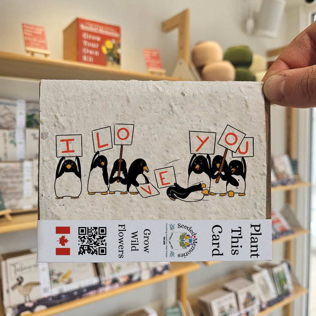 Card with penguins holding signs saying 'I Love You' held by a hand in a store setting.