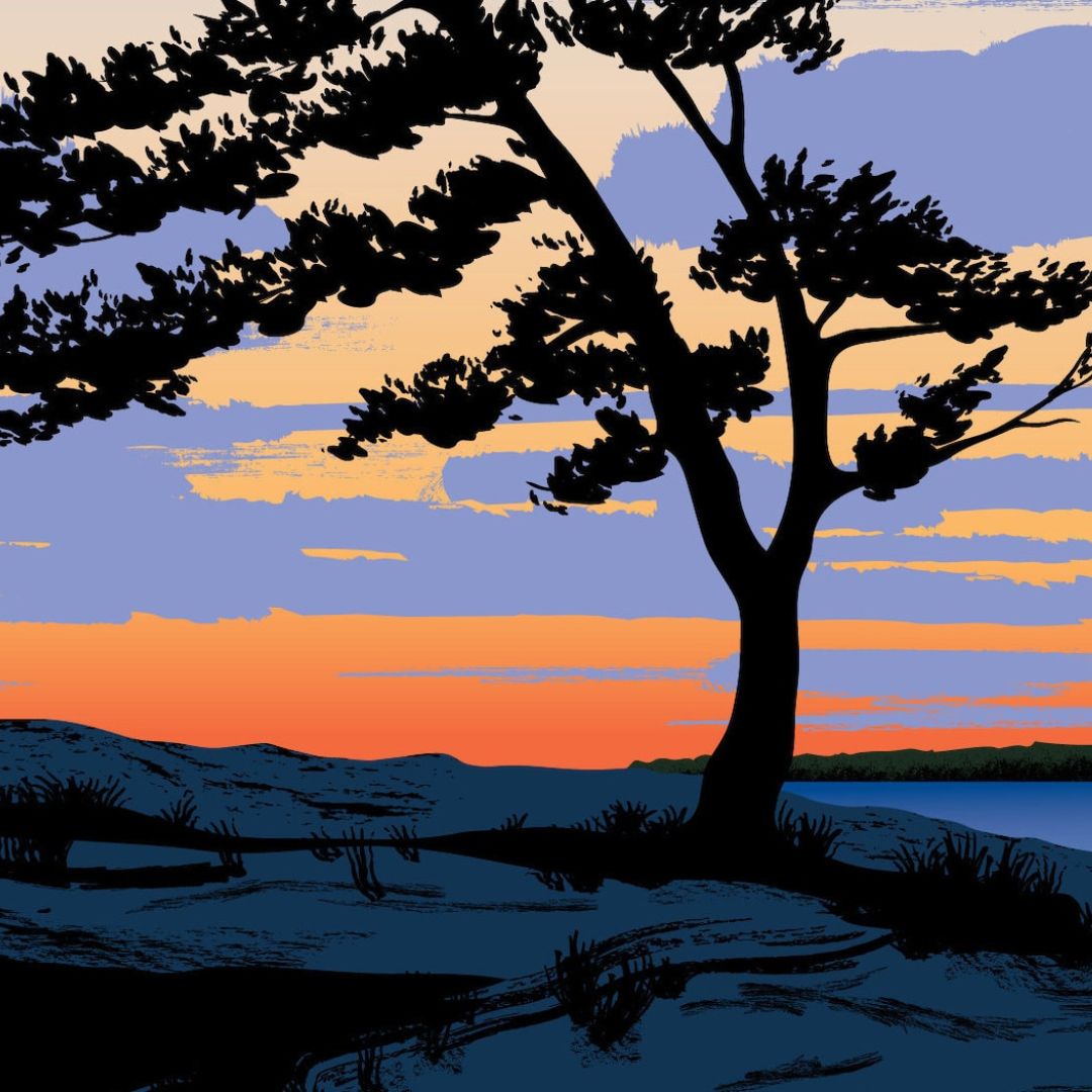 Silhouette of a tree against a colorful sunset sky with blue, orange, and purple hues.