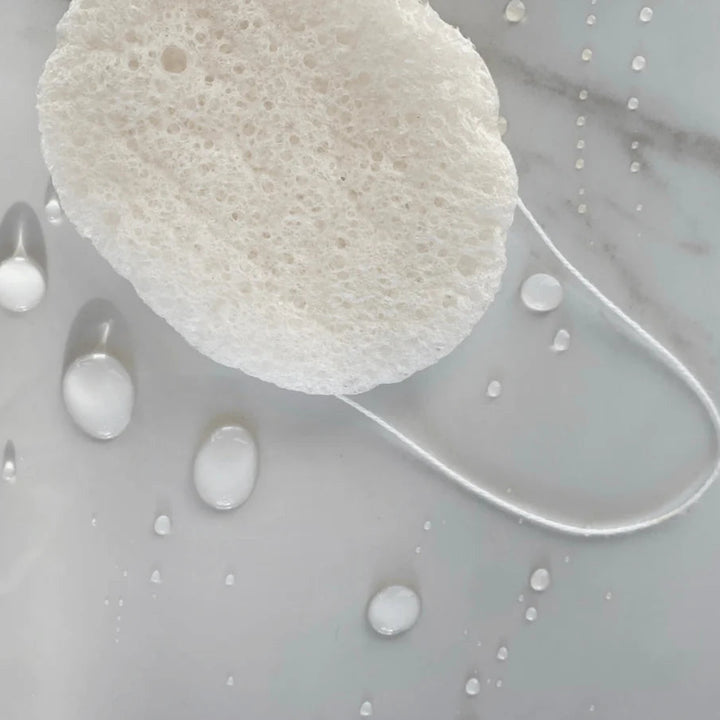 Konjac Sponge