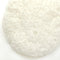 Konjac Sponge