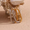 Long Oval Two-Tone Hoops