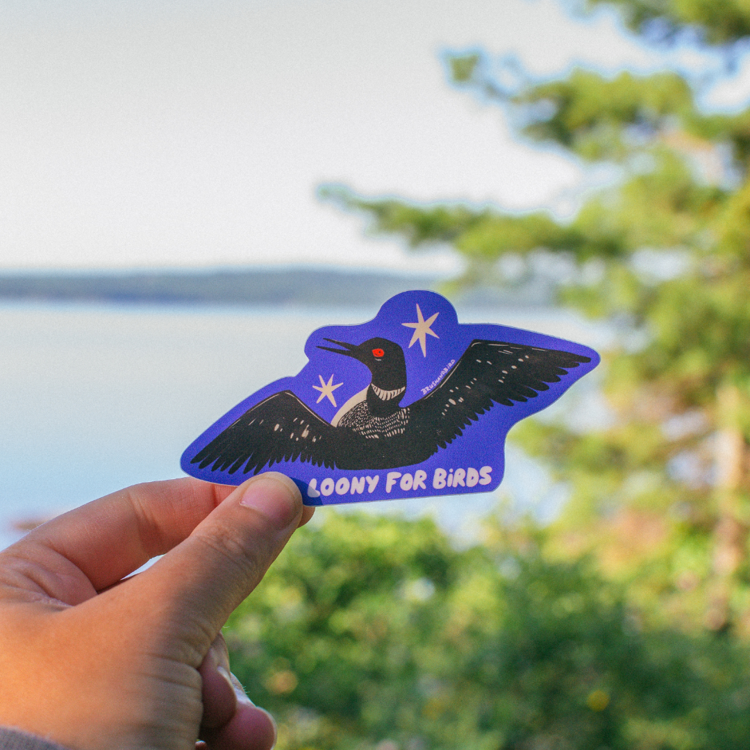 A hand holds a die-cut sticker featuring a black bird with white stars on a blue background, with the text 'LOONY FOR BIRDS' at the bottom. The background is a blurred outdoor scene with green trees and water.