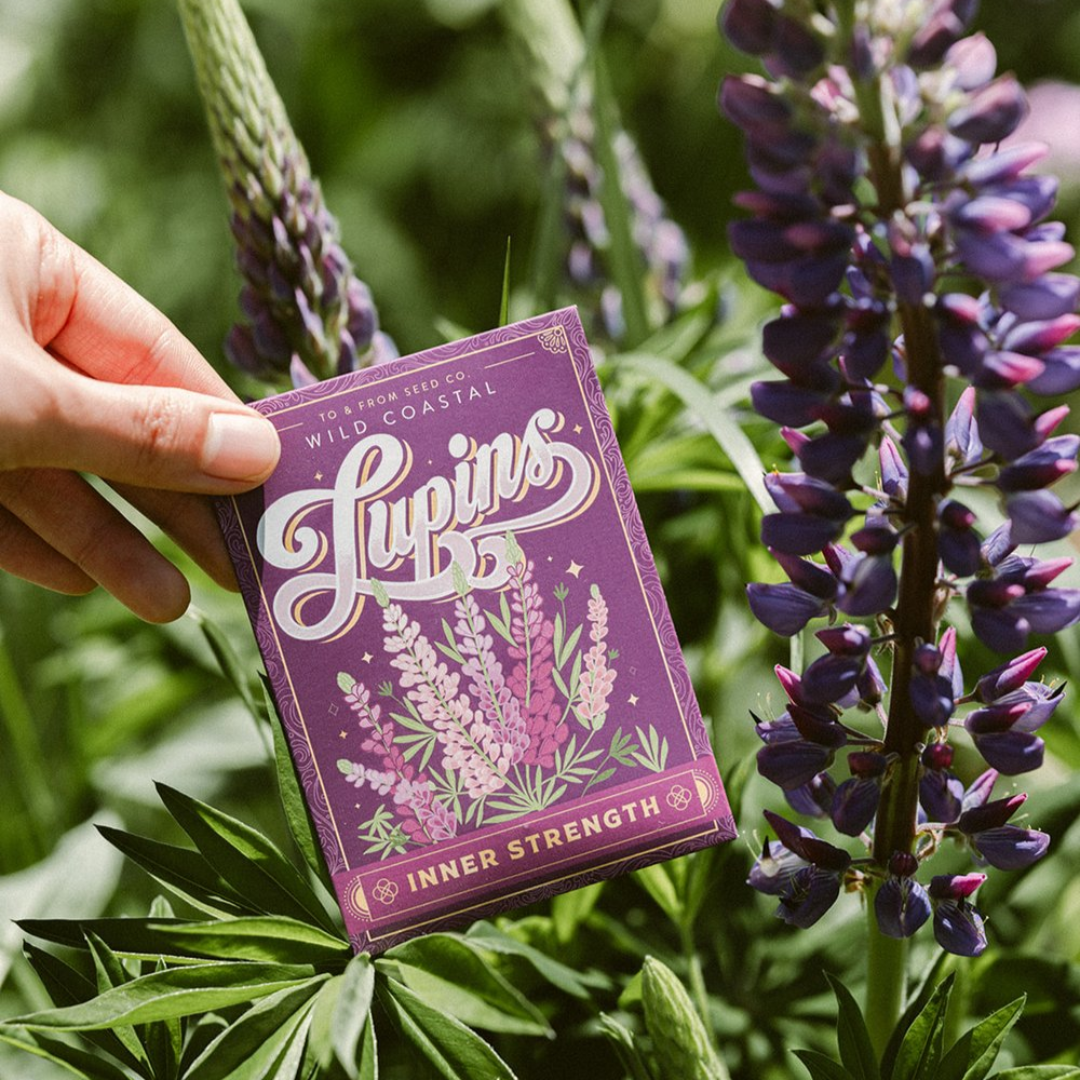 Wild Coastal Lupins (Inner Strength) Seed Packet