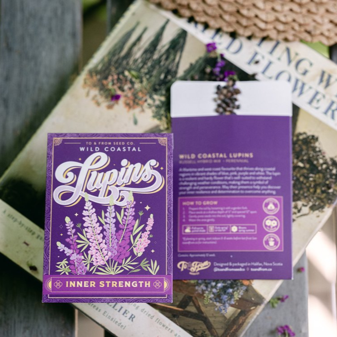 Wild Coastal Lupins (Inner Strength) Seed Packet