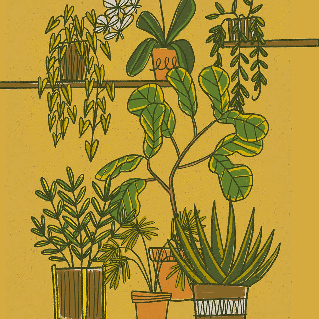 Midcentury Potted Plants Art Print