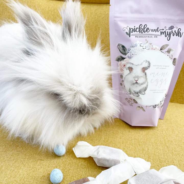 A purple bag of Pickle + Myrrh Mini Egg Caramels with a drawing of a bunny and the text 'mini eggs', surrounded by loose mini egg caramels in various pastel colors. These are gourmet, handmade caramels from Merrickville, Ontario, Canada.
