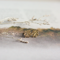 Gold leaf-shaped earrings on a reflective surface with a natural background