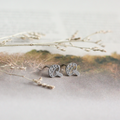Silver earrings on a light background with dried leaves