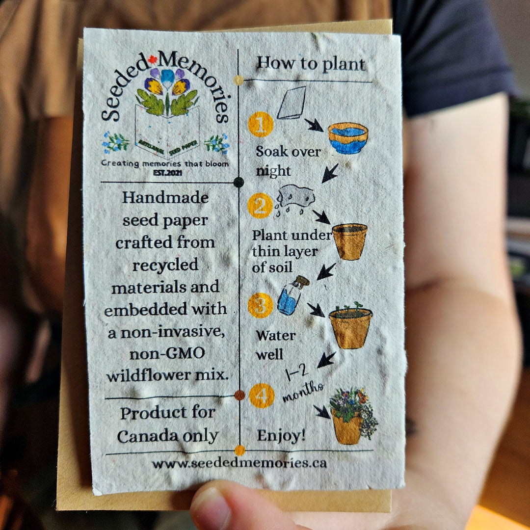 Seeded Memories seed paper card with planting instructions