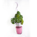 Plush toy of a potted plant with green leaves and a pink pot on a white background