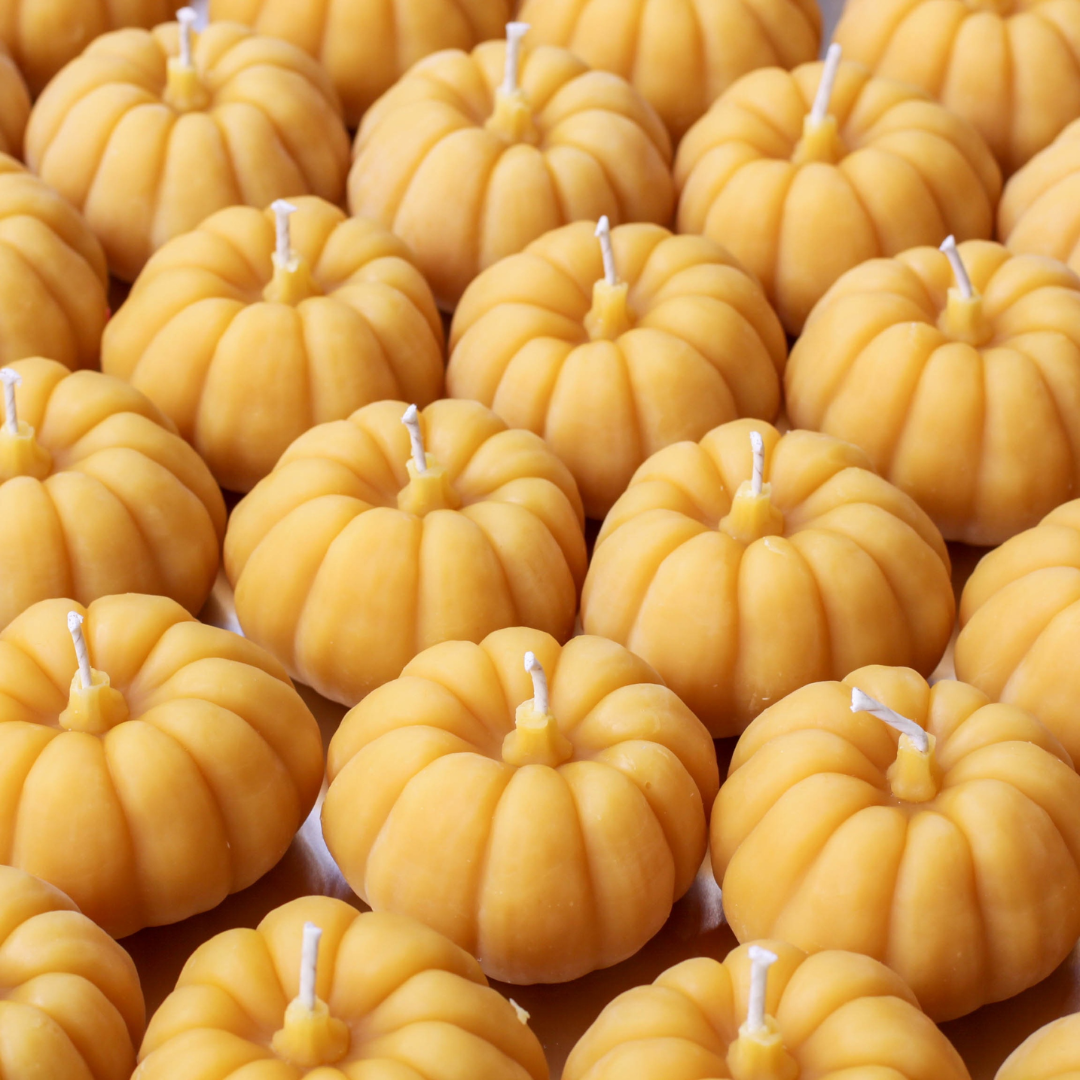 A close-up image of multiple small, pumpkin-shaped beeswax candles arranged in rows. The candles are orange with detailed ridges and a wick in the center.