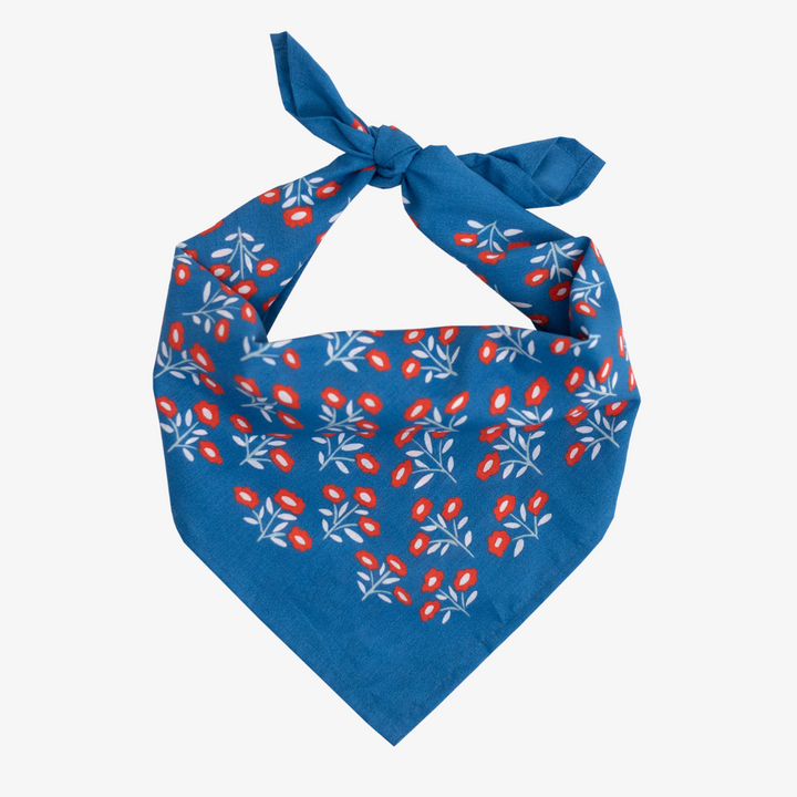 A blue bandana with a floral pattern. The pattern features small red flowers with white centers and white leaves.