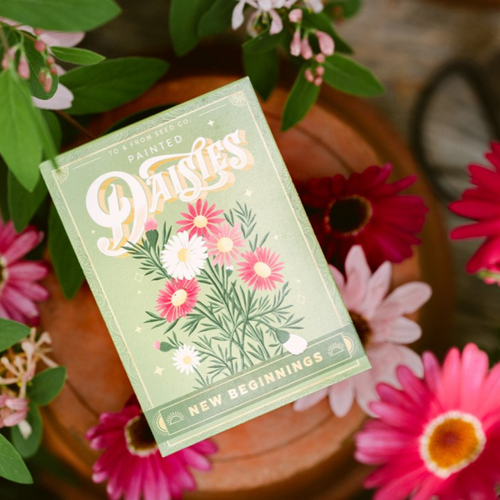 Painted Daisies (New Beginnings) Seed Packet