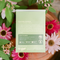 Painted Daisies (New Beginnings) Seed Packet