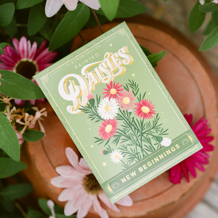 Painted Daisies (New Beginnings) Seed Packet
