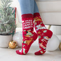 Red Christmas socks with dog design and 'Here Comes Santa Paws' text worn by a person in a festive setting.