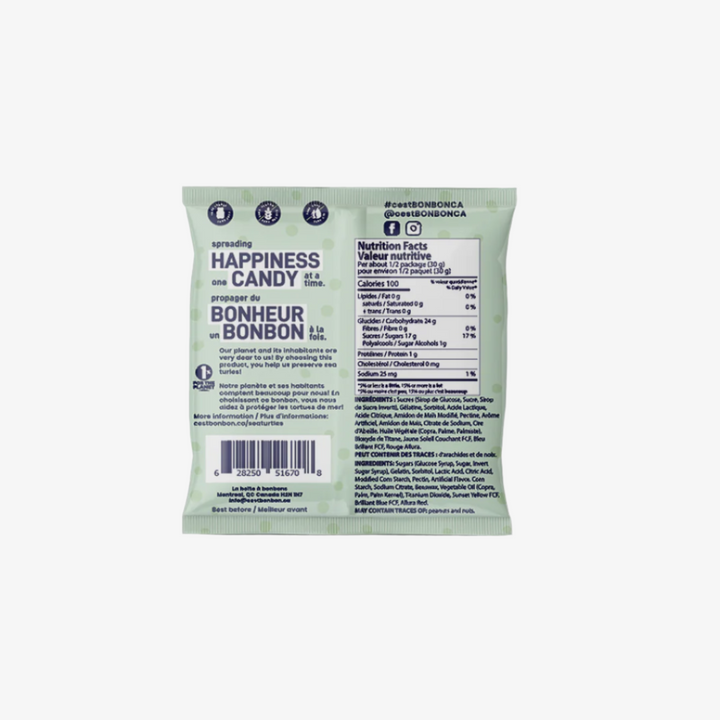 Sea Turtles Gummy Candies