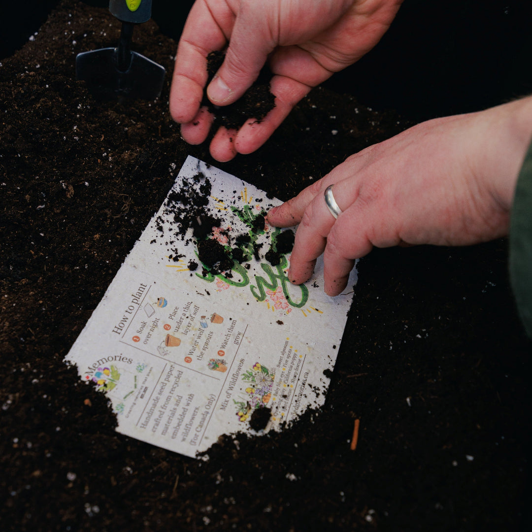 Person planting seeds on a seedling kit with soil