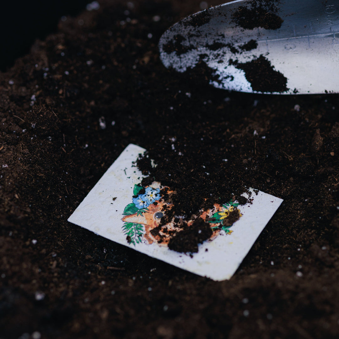 Small piece of paper with a colorful design lying on dark soil