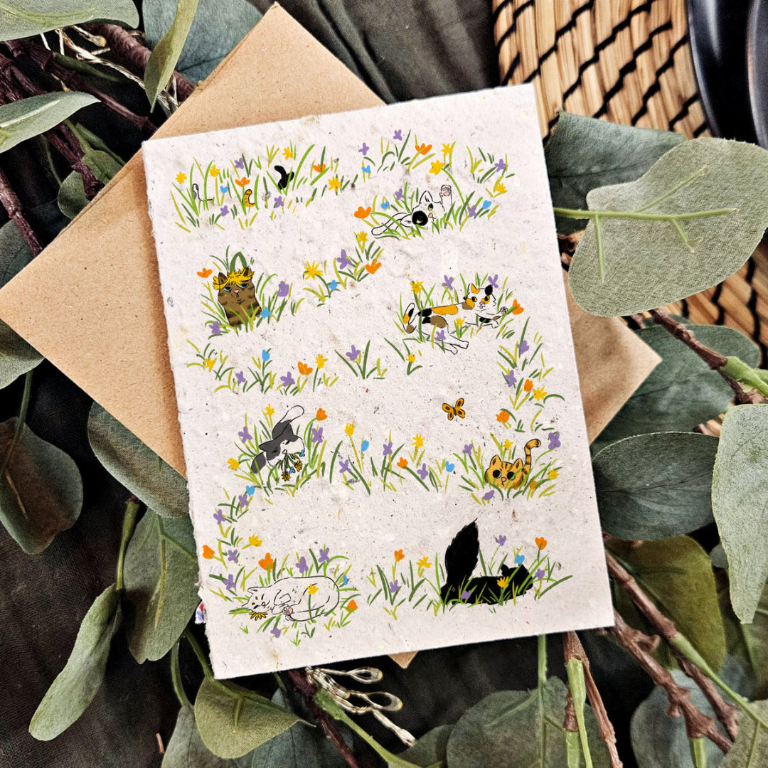 Silly Cats Plantable Just Because Card