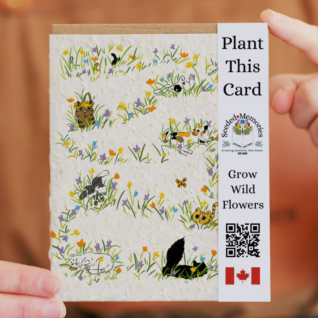 Silly Cats Plantable Just Because Card