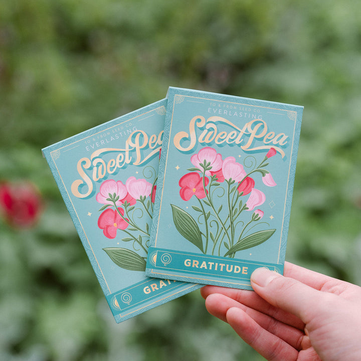 Everlasting Sweet Pea (Gratitude) Seed Packet