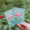 Everlasting Sweet Pea (Gratitude) Seed Packet