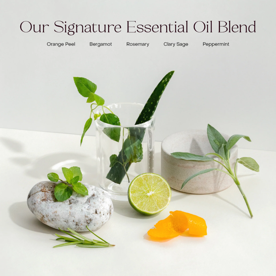 The Body Wash Concentrate scent profile with essential oil blend, including orange peel, bergmot, rosemary, clary sage, and peppermint.