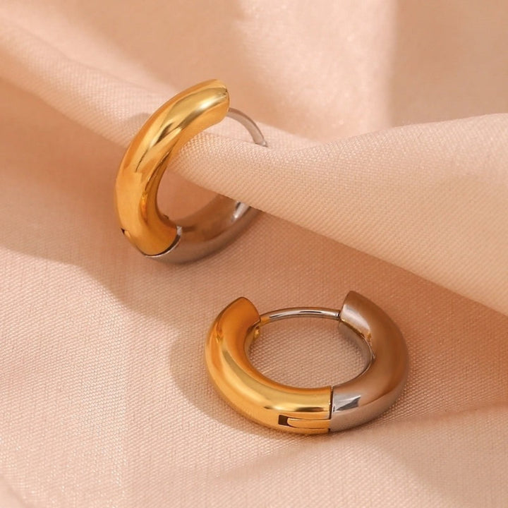 Two Tone Hoops
