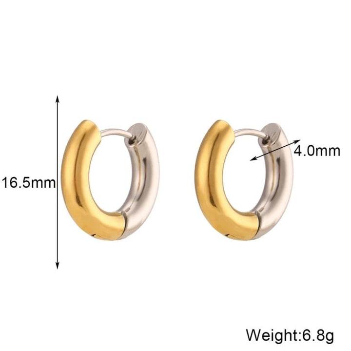 Two Tone Hoops