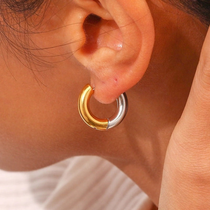 Two Tone Hoops