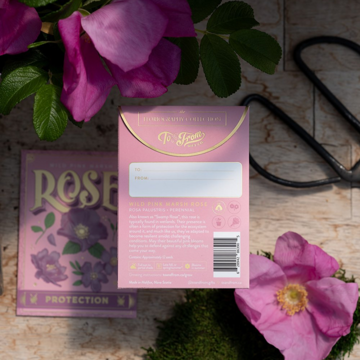 Wild Pink Marsh Rose (Protection) Seed Packet