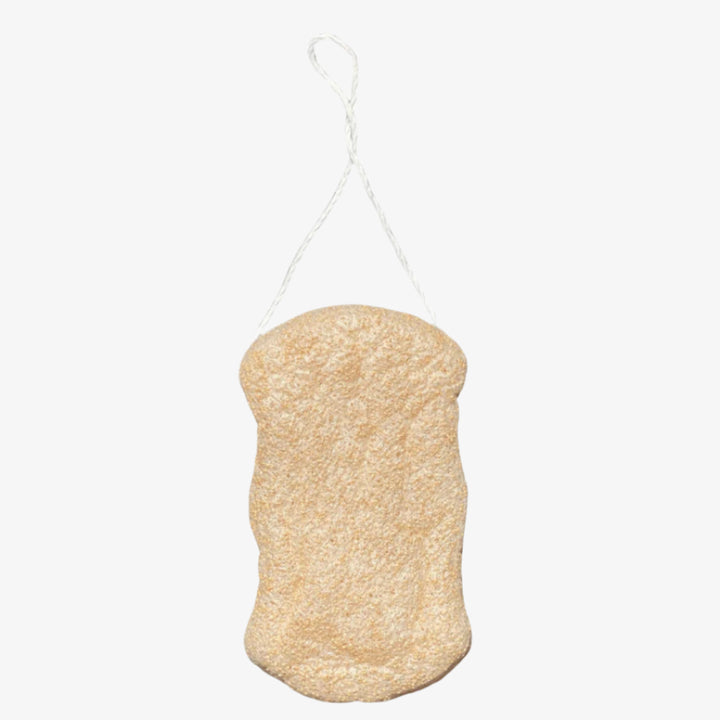 Walnut Konjac Body Sponge