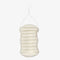 Walnut Konjac Body Sponge