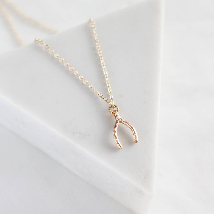 a gold wishbone pendant, with a delicate chain.