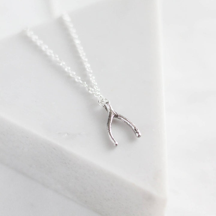 a silver wishbone pendant, with a delicate chain.