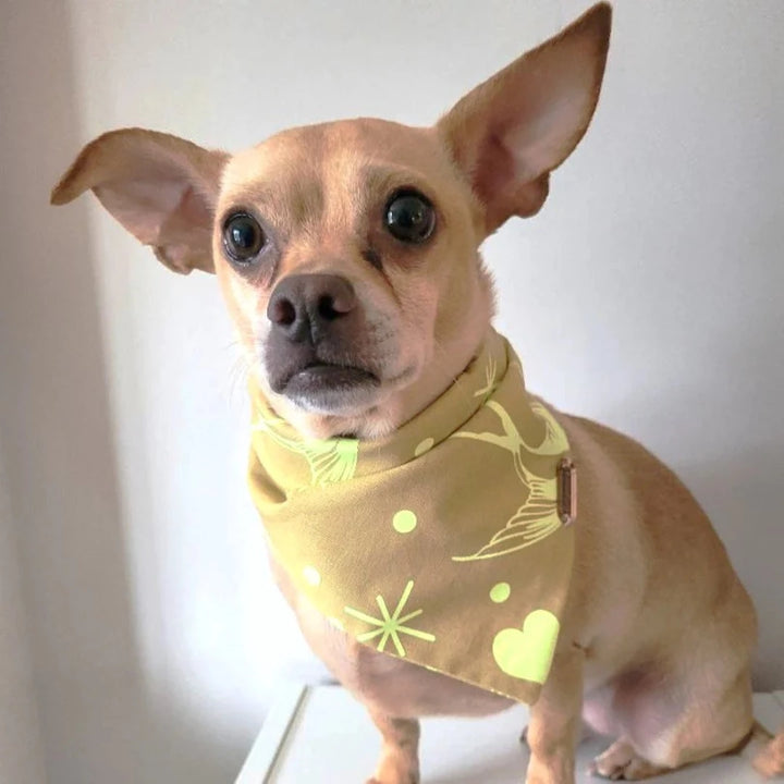 Yellow Neon Birds & Hearts Dog Bandanas