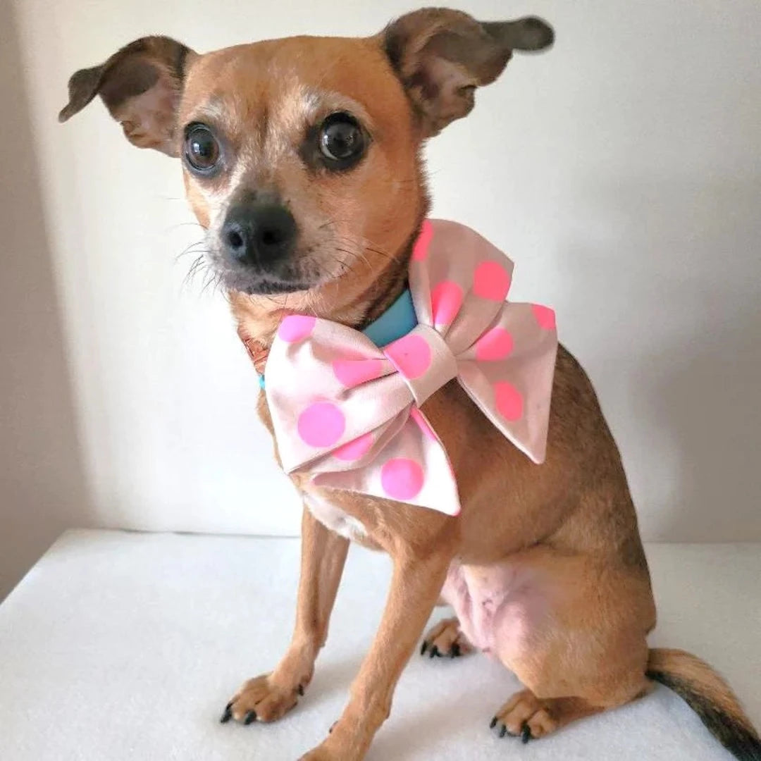 Yellow Polka Dot Dog Sailor Bow