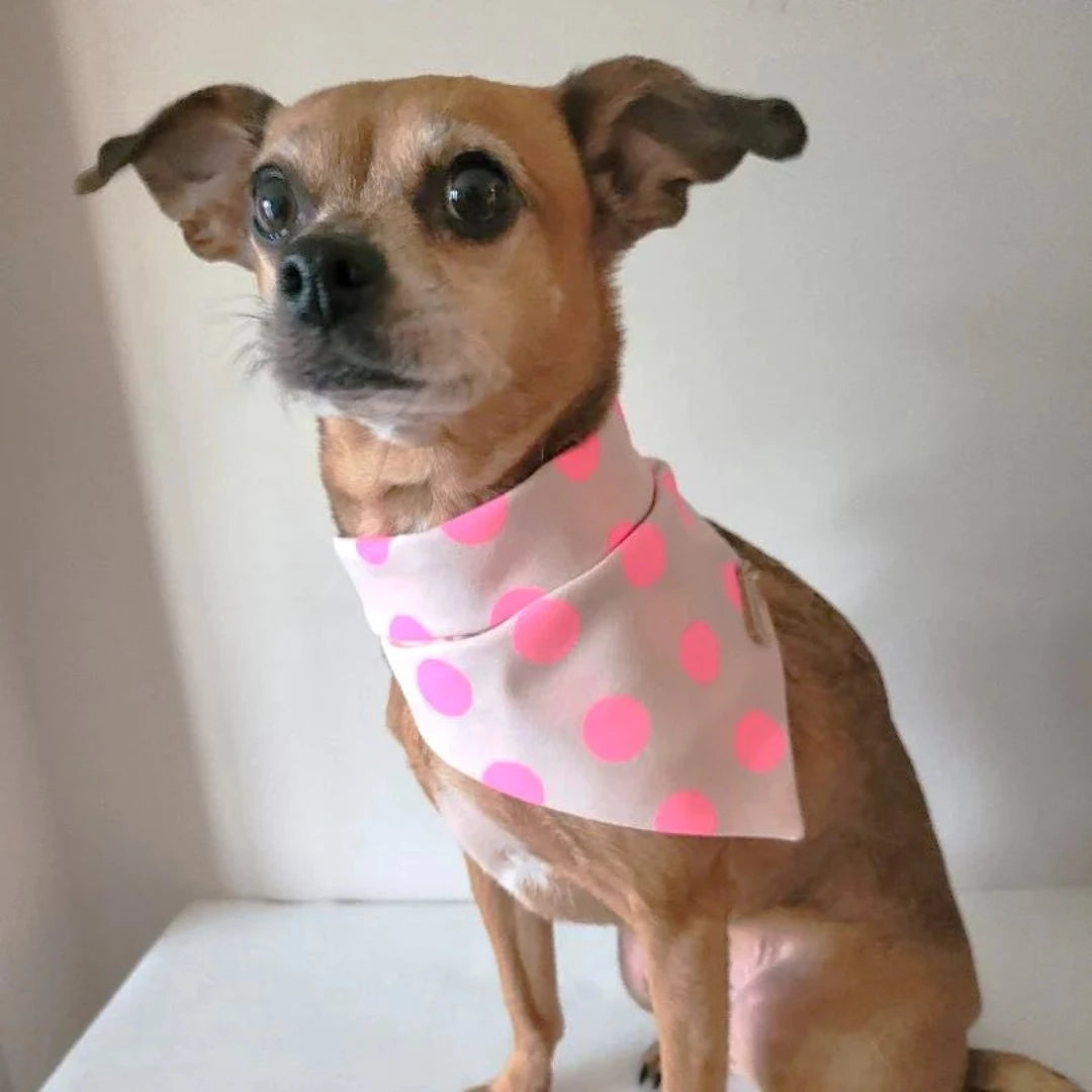 Peach Polka Dot Dog Bandanas