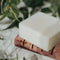 Unscented Solid Dish Soap Bar