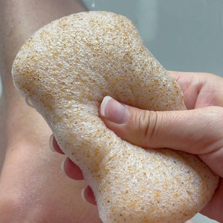 Walnut Konjac Body Sponge