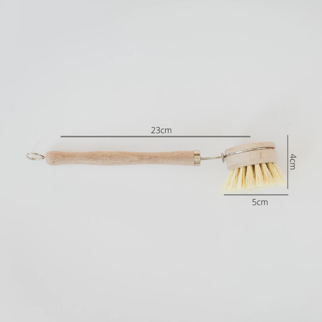 wooden dish brush with measurements. 23cm by 4cm