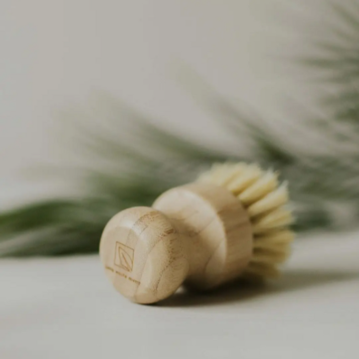 A bamboo bristle brush laying down in front of a green plant.