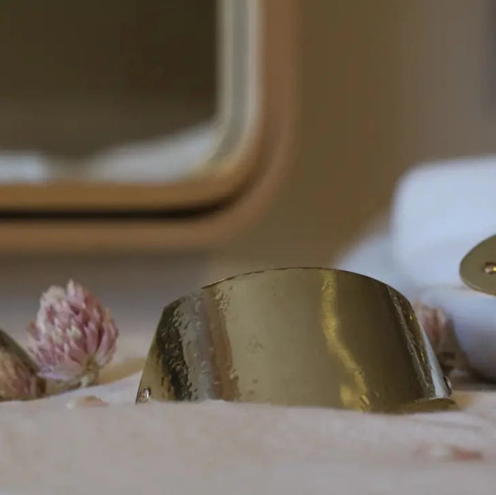 Brass Shield Barrette