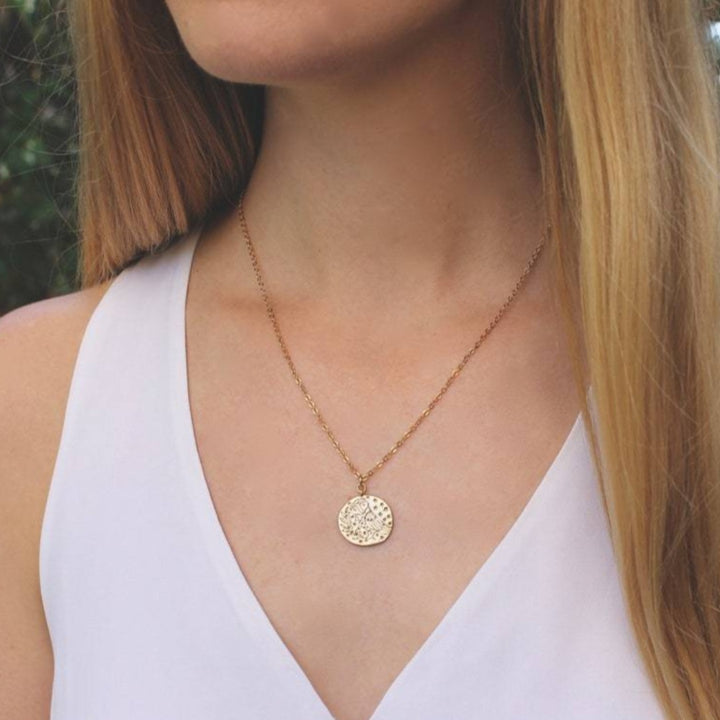 Owl Disc Necklace